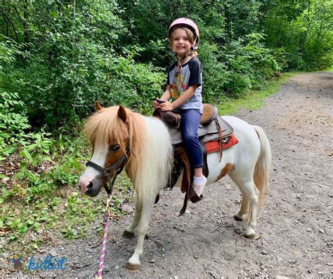 Horseback Riding Classes And Trail Rides For Kids In Chicagoland