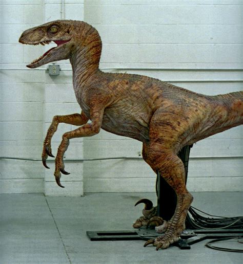 Tlw Female Raptor Jurassic Pedia