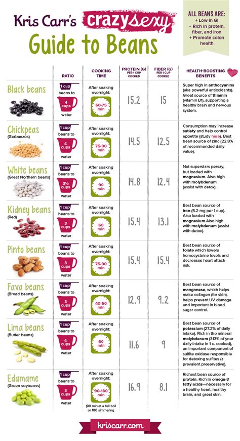 easy guide to cooking and eating beans 44 infographics that can help improve your cooking skills