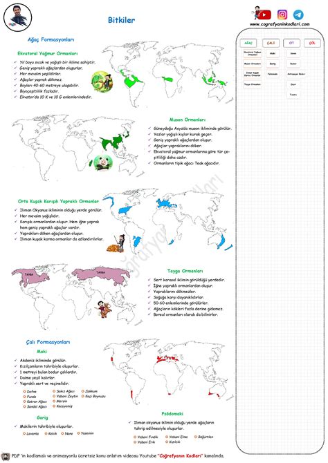 Cografya Sinif Bitkiler Pdf Ders Notlari Indir Pdf In