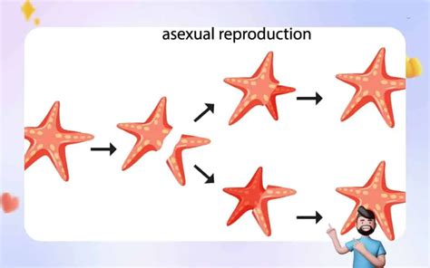 Negatives Of Asexual Reproduction My Xxx Hot Girl