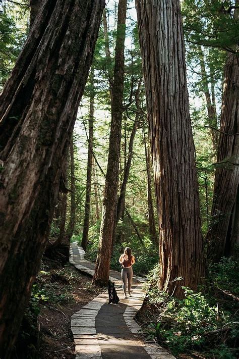North Vancouver Island Is Known For Its Rugged And Wild Beauty Tiny