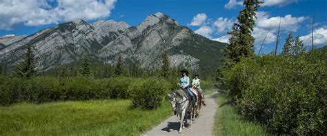 1hr Bow River Horseback Ride Discover Banff Tours