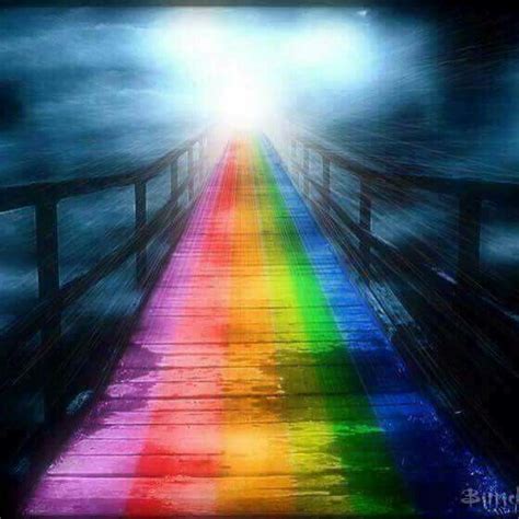 Crossing The Rainbow Bridge To Heaven Rainbow Bridge Dog