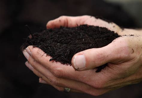 How To Best Improve Garden Soil In Preparation For Spring Planting Ask