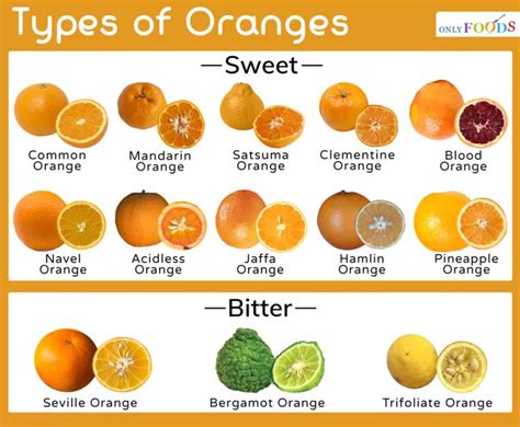 22 Useful Infographics About Citrus Fruits Part 16