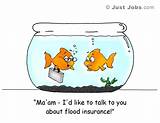 Images of Flood Insurance Jokes