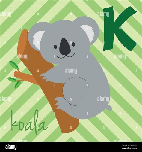 Cute Cartoon Zoo Illustrated Alphabet With Funny Animals K For Koala