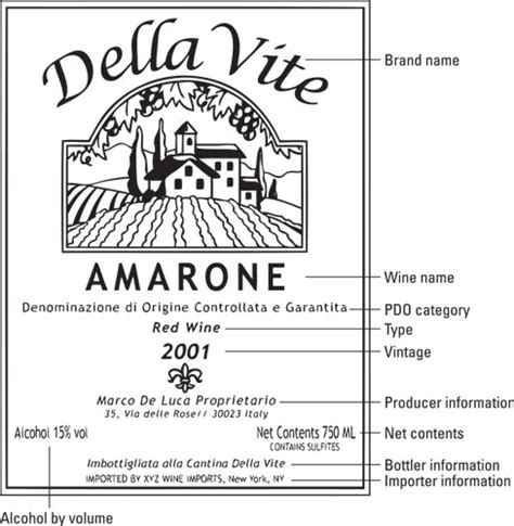 How To Read A Wine Label Dummies