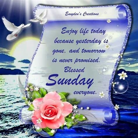 Enjoy Life Today Happy Sunday Pictures Photos And Images For Facebook