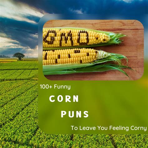 100 Funny Corn Puns To Leave You Feeling Corny HMP