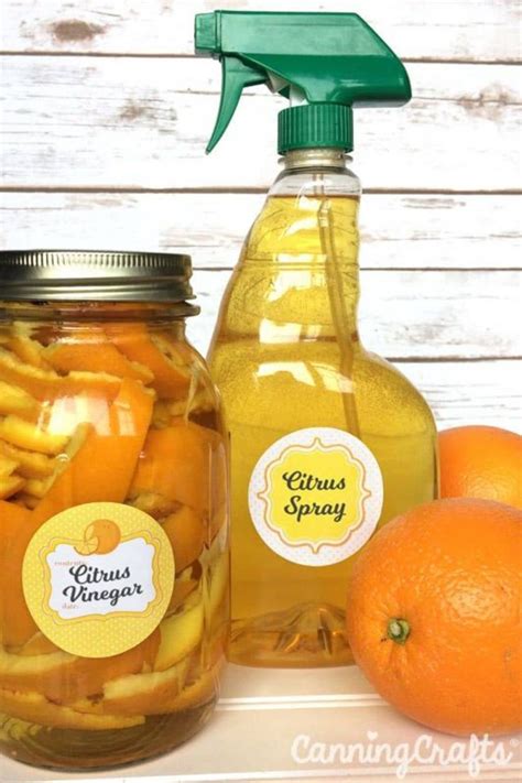 39 Exciting Things To Do With Orange Peels Orange Peels Uses Boil