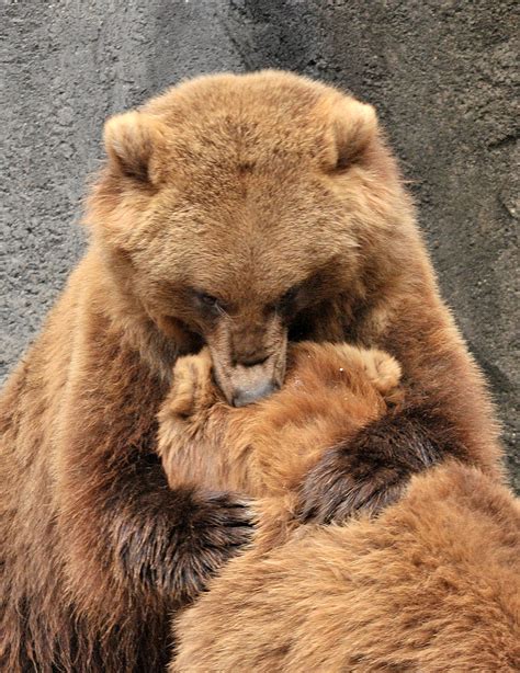 Big Bear Hug A Photo On Flickriver