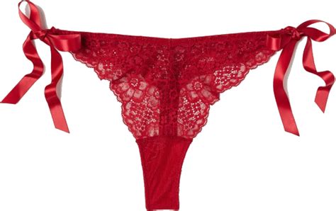 underwear thong red lace lingre sticker by gracemorais3304