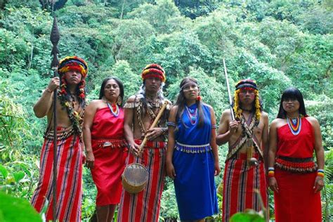 Aw Ubicaci N Caracter Sticas Costumbres Cultura Y M S Cultura Etnias Indigenas Ecuador