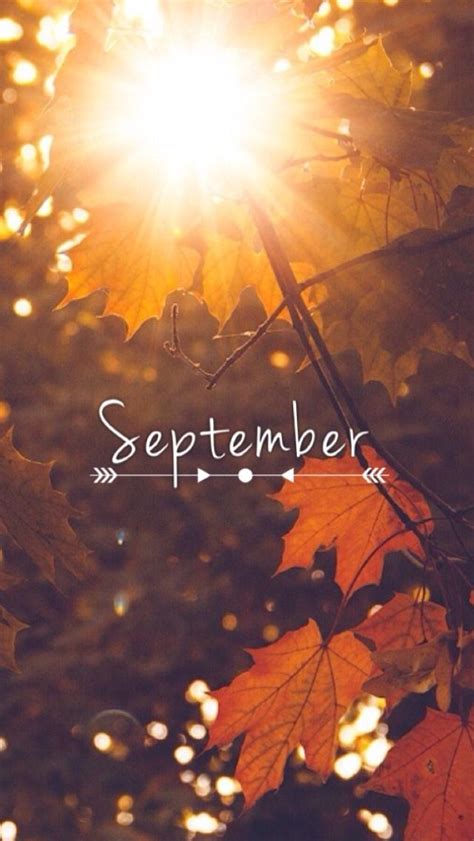 September Wallpaper Tumblr Fall Backgrounds Iphone Iphone Background
