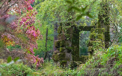 Photos Of Portugal Moss Covered Stone Ruins 4724 Picture Classroom