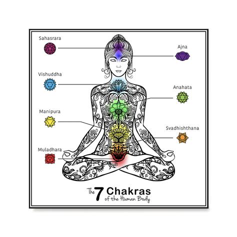 the 7 chakras of the human body poster ezposterprints