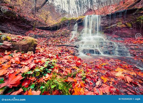 Beautiful View Of The Pure Water Waterfall In Autumn Woodland Stock