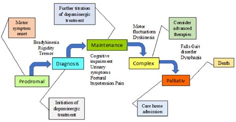 Stages Of Parkinsons Disease Download Scientific Diagram