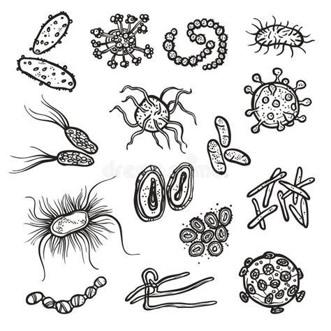 Bakterii Komórka Ilustracji Ilustracja Złożonej Z Bakterie 14860456
