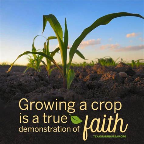 There Is No Better Display Of Faith Than A Farmer Planting Seeds In A