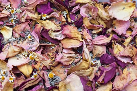 How To Make Potpourri With Rose Petals The Real Flower Company Blog
