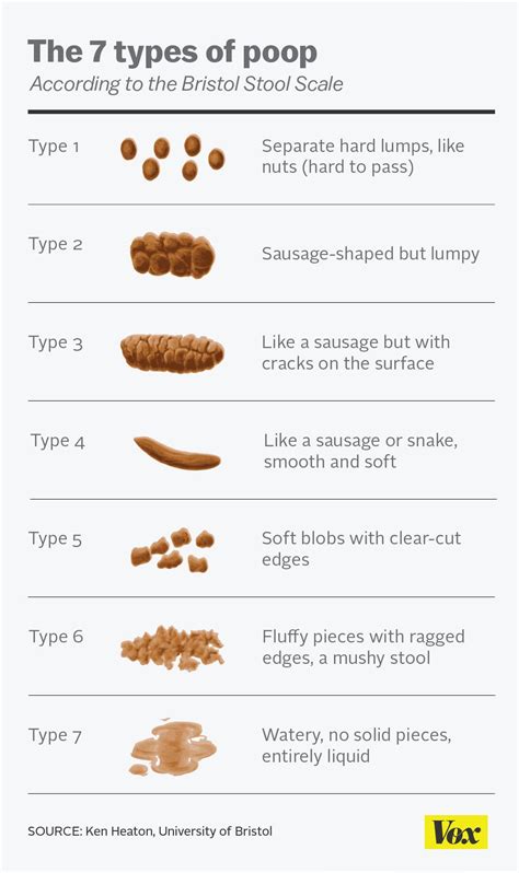What Foods Help You Poop Examples And Forms