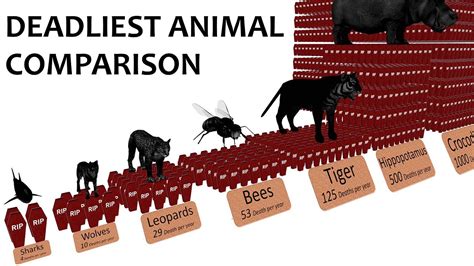 Top 123 Animals Compared To Humans