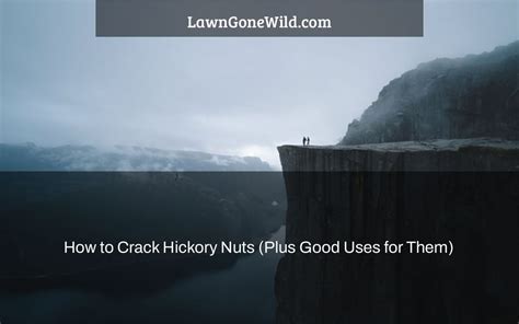 How To Crack Hickory Nuts Plus Good Uses For Them Lawn Gone Wild