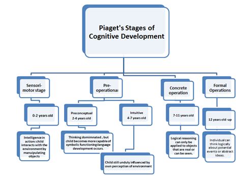 Essay Piagets Theory Of Childhood Cognitive Development Piaget Stages