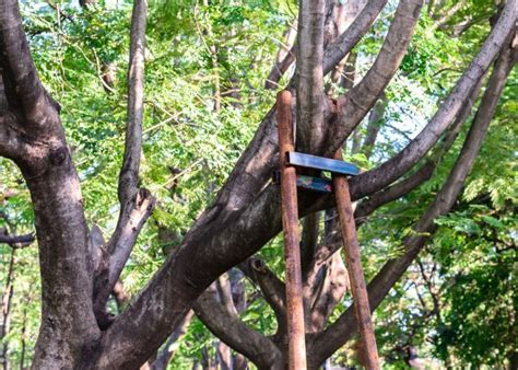 Serving woodbury and surrounding areas tree removal, tree service, and stump grinding. How Much Should Tree Trimming in Southbury CT Cost ...