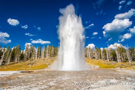 Yellowstone National Park Heiße Quellen Geysire And Fumarolen Thermal