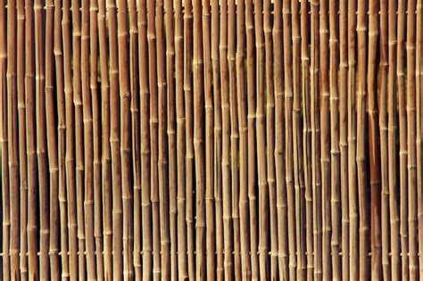 Free Photo Bamboo Fence Texture