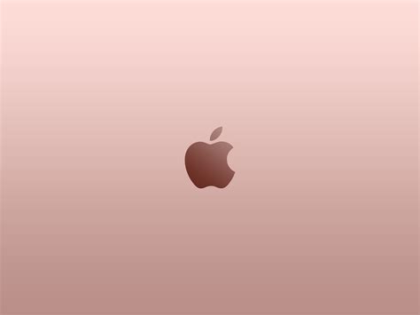Rose Gold Wallpapers 57 Images