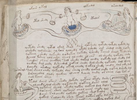 Indecipherable Voynich Manuscript Finally Decoded After A Century Inverse