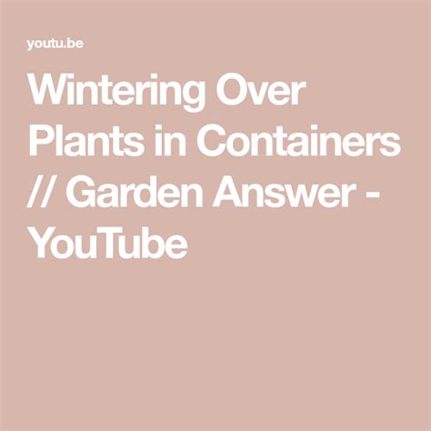 Wintering Over Plants In Containers Garden Answer Youtube