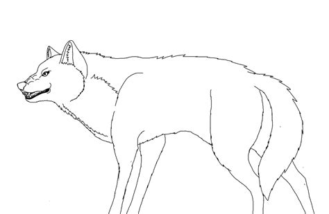 Free Snarling Full Body Wolf Line Art By Pitthekidicarus On Deviantart