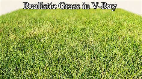 3ds Max Tutorial Realistic Grass In Vray Using Vray Fur Texture