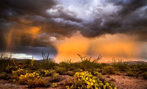Desert Monsoon Landscape Landscape Photography Monsoon