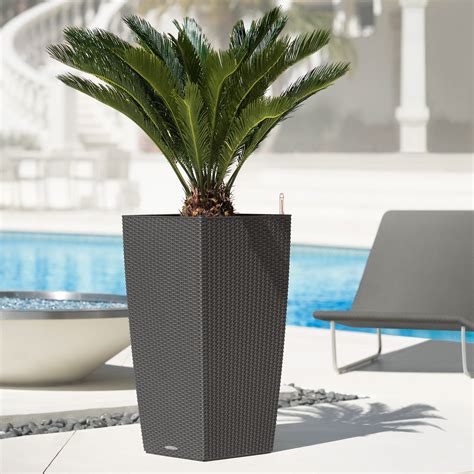 Our signature californian line is the lightweight, lower cost the resin made brickell planters, inspired by the interior containers found in many hotels, bars and. Square Lechuza Cubico Cottage Self-Watering Resin Planter ...