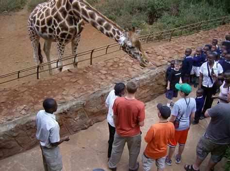 Victoria Safaris Packages Nairobi City Tours