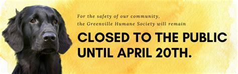 Greenville Humane Society Greenville Sc