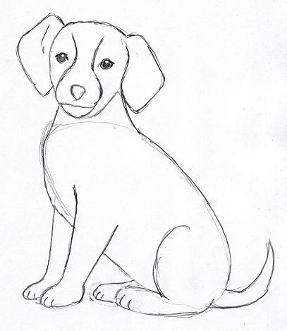 Here i decided to make the process of drawing a dog even easier and more intuitive. Dog Drawing - Cliparts.co