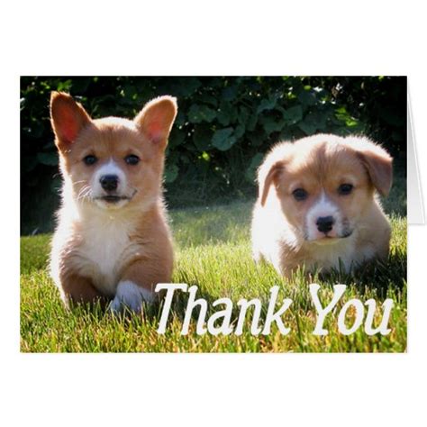 Thank You Corgie Pembroke Puppy Dog Note Card Zazzle