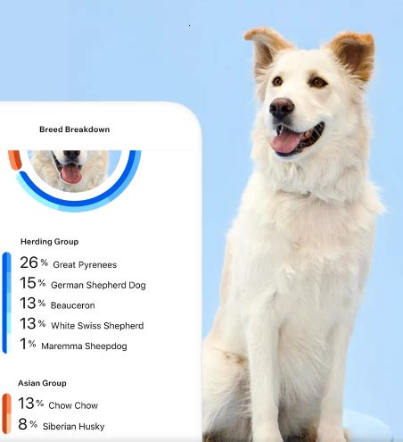 You plan on living in it for a year, so you're kind of stuck in your case. How to get around breed restrictions when renting: A guide ...