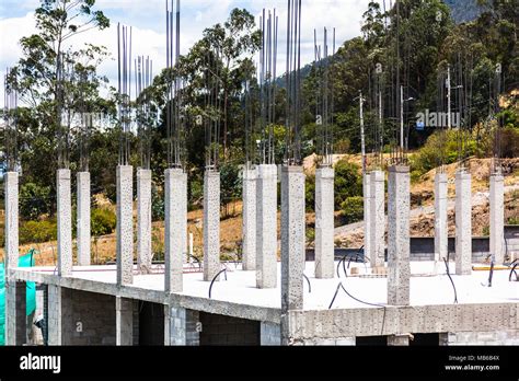 Reinforced Concrete Columns On First Floor Slab Stock Photo Alamy