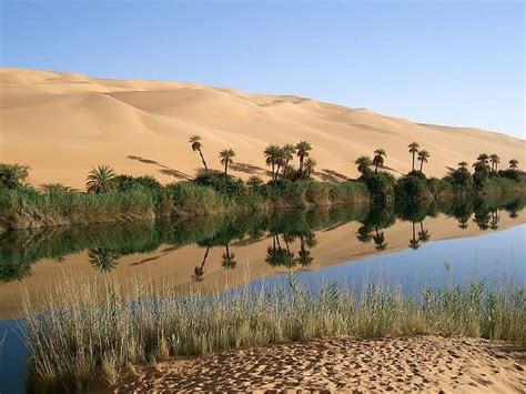 Welcome to oasis africa photo safaris. The Africa Beneath the Sahara Desert: Picture of an oasis ...