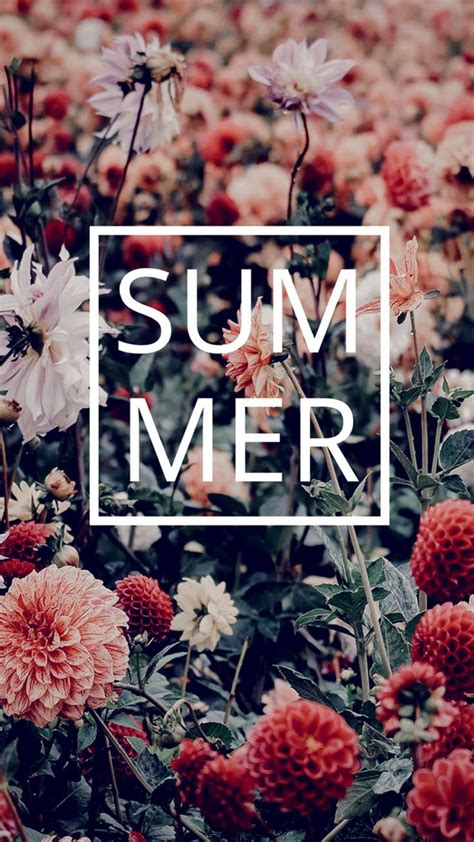 Phone Aesthetic Summer Wallpapers Wallpaper Cave