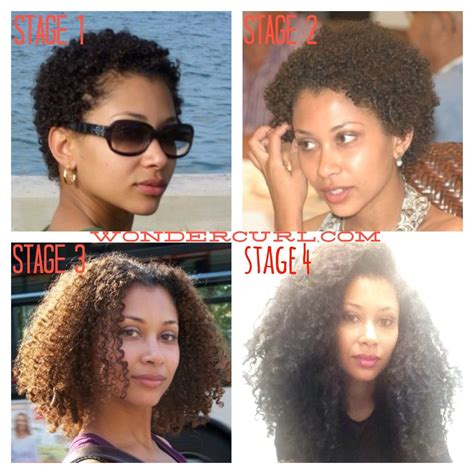 The 4 Stages Of Natural Hair What Stage Are You In Natural Hair